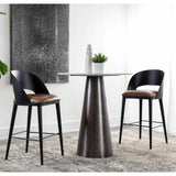 Dezirae Bar/Counter Stool