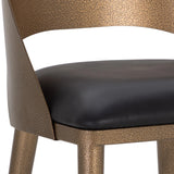 Dezirae Bar/Counter Stool