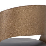 Dezirae Bar/Counter Stool