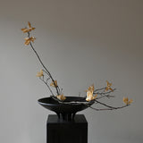 Medusa Tray Collection