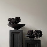 Medusa Tray Collection