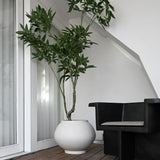 Sunao Collection - Large Plant Pots