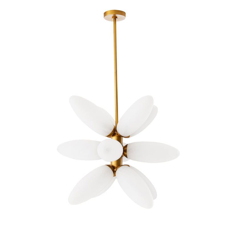 Starling Chandelier